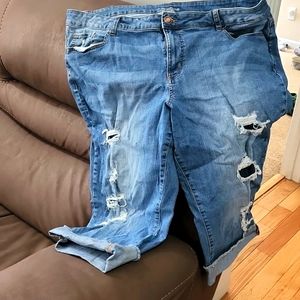 Maurices plus size capris